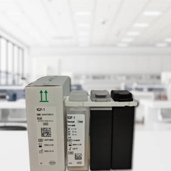 IGF – 1